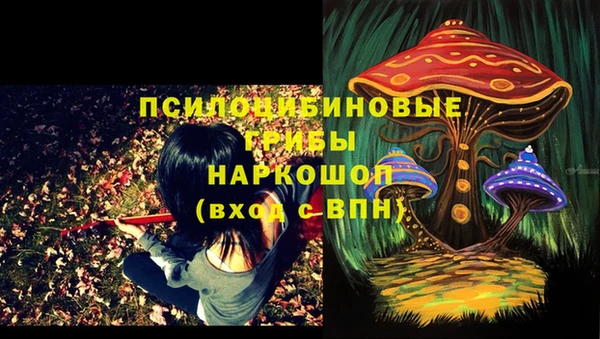 соль курить ск Армянск