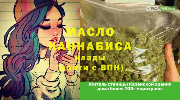 стаф Осинники