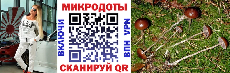 Галлюциногенные грибы Cubensis  даркнет сайт  Аркадак 