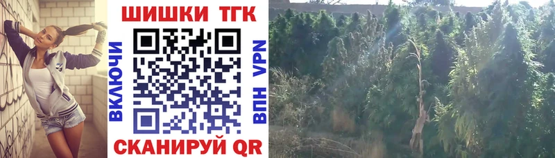 shop телеграм  blacksprut как зайти  Аркадак  МАРИХУАНА ГИДРОПОН 